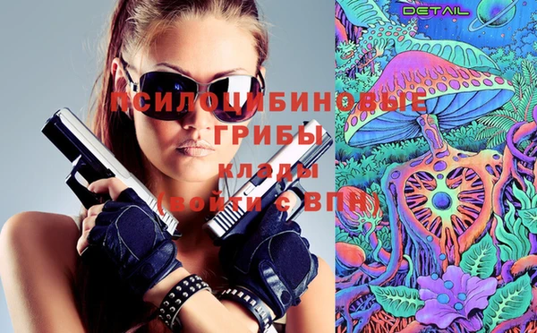 винт Армянск