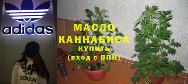 индика Балабаново