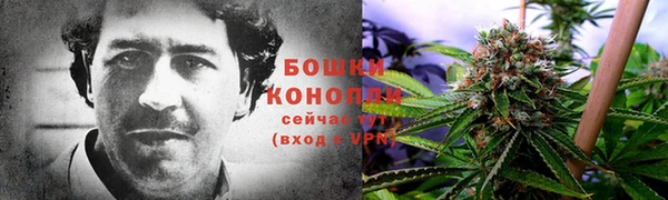 ГАЛЛЮЦИНОГЕННЫЕ ГРИБЫ Аркадак
