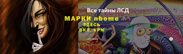 ГАЛЛЮЦИНОГЕННЫЕ ГРИБЫ Аркадак