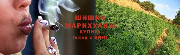 индика Балабаново