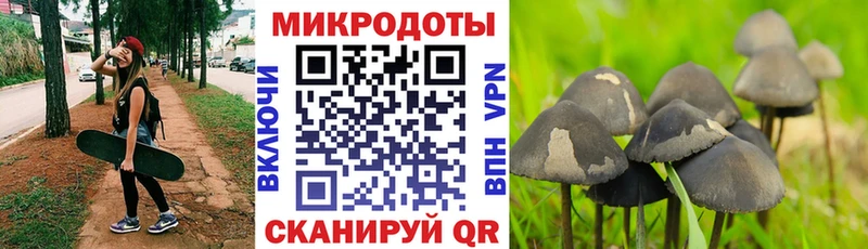 Галлюциногенные грибы прущие грибы  Саяногорск 